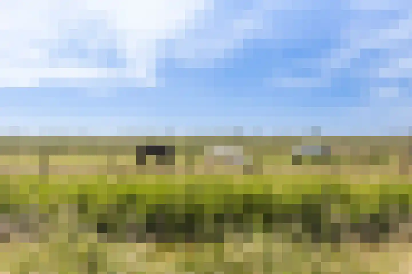 Johannes Kolfstraat 30 Westmaas thumbnail 47