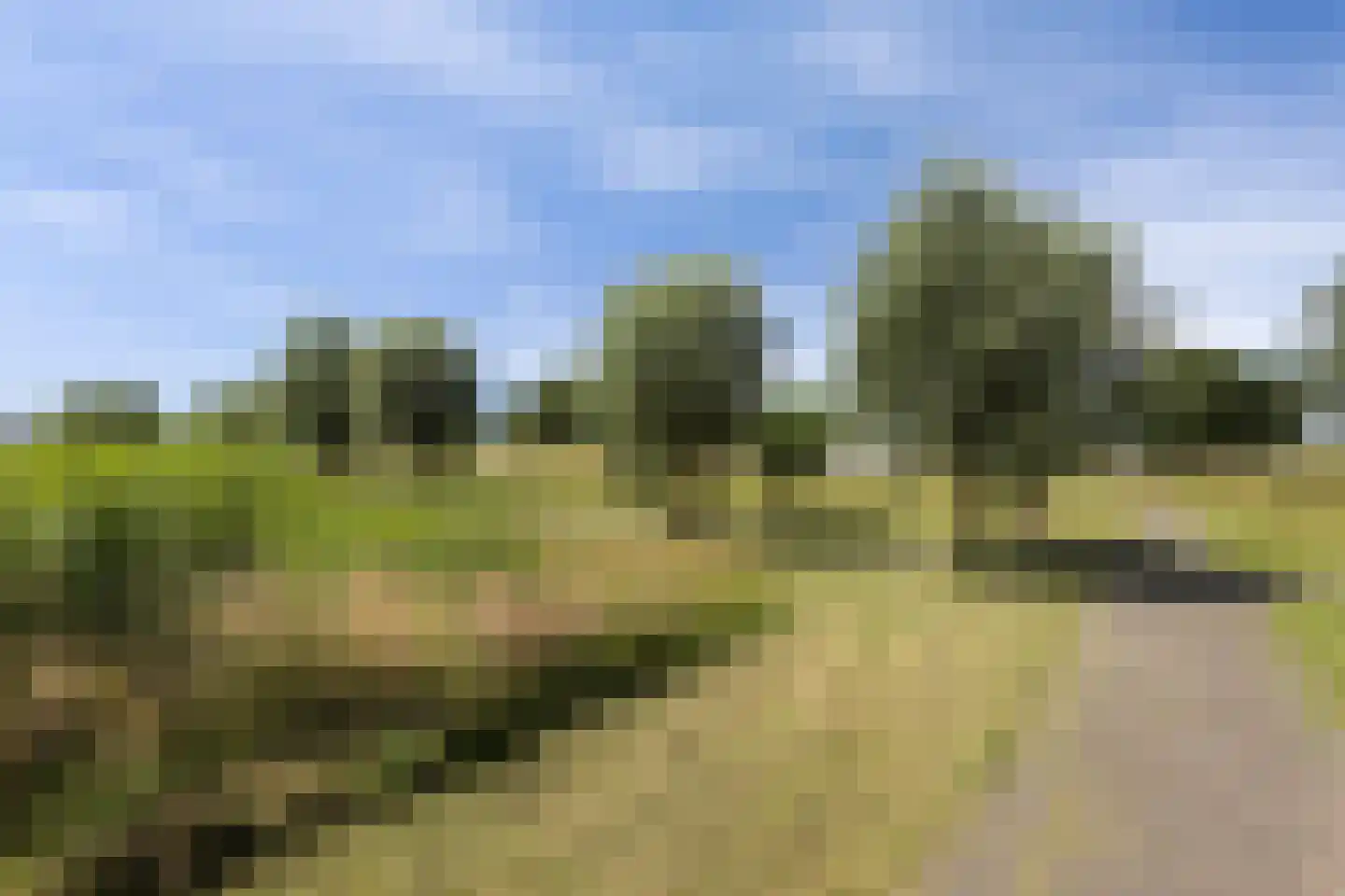 Johannes Kolfstraat 30 Westmaas thumbnail 48