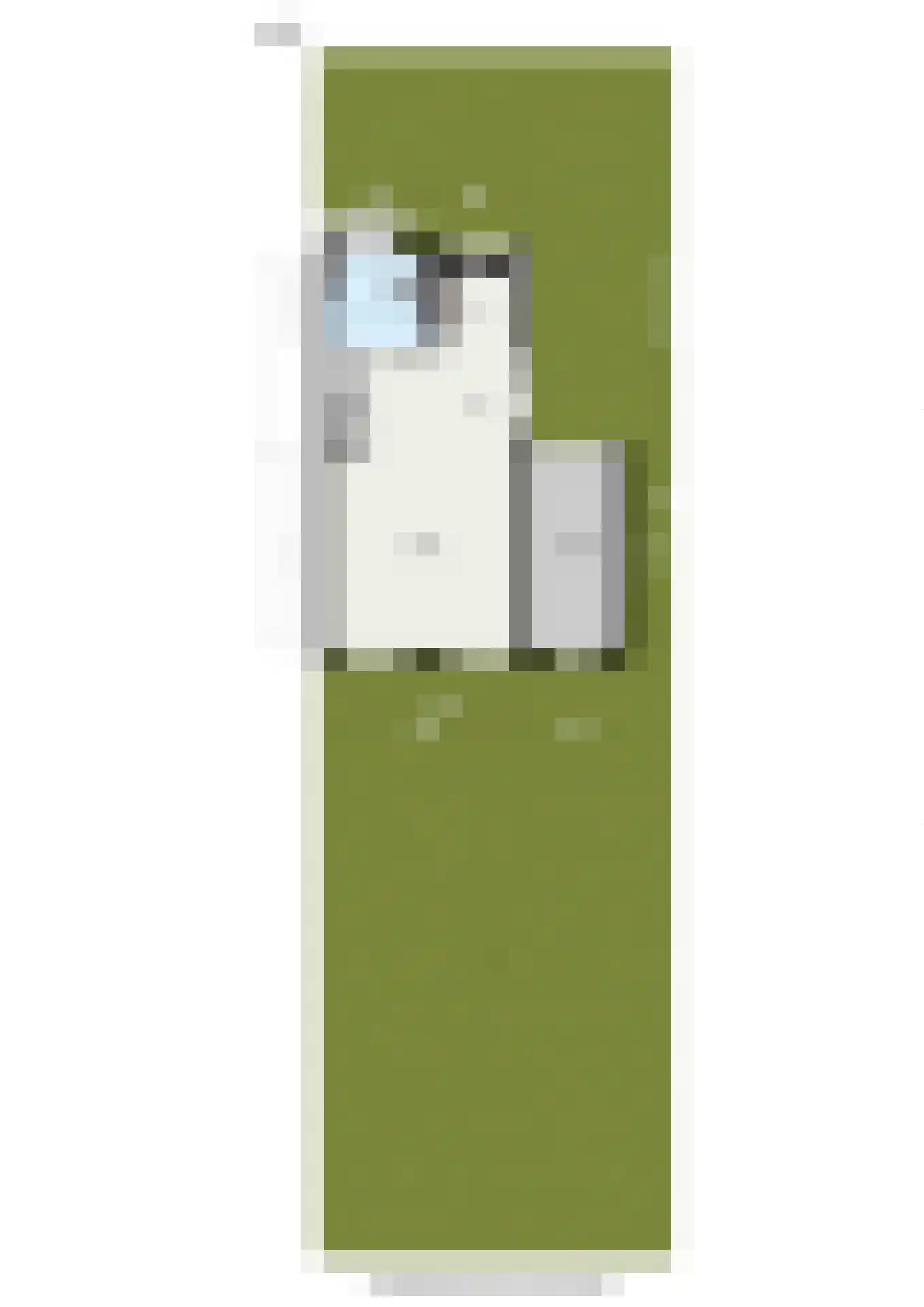 Johannes Kolfstraat 30 Westmaas thumbnail 54