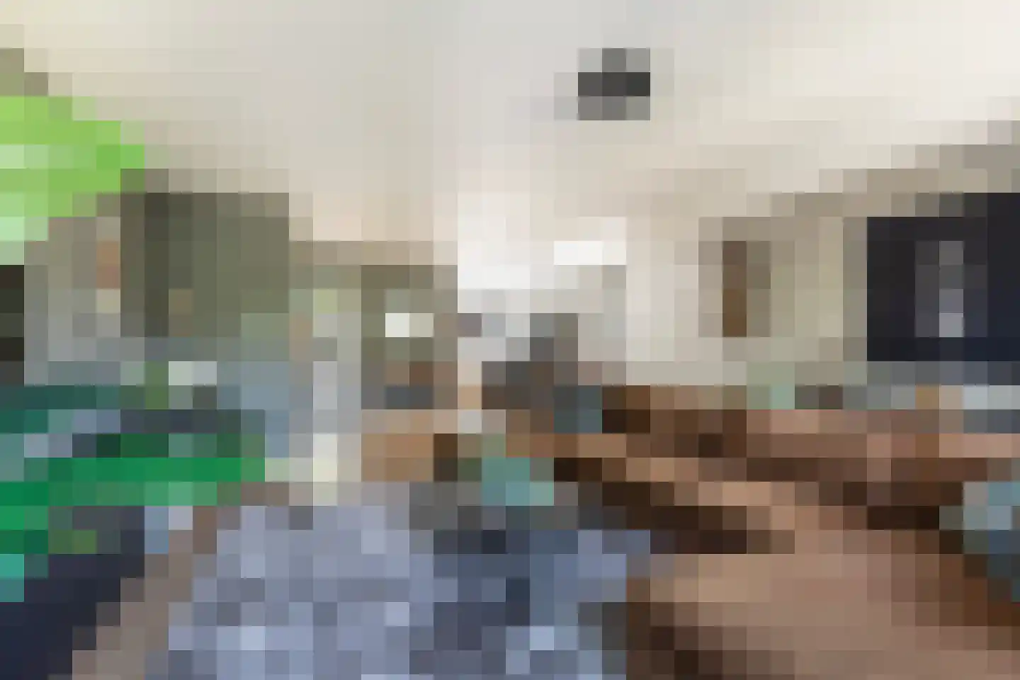 Johannes Kolfstraat 30 Westmaas thumbnail 8