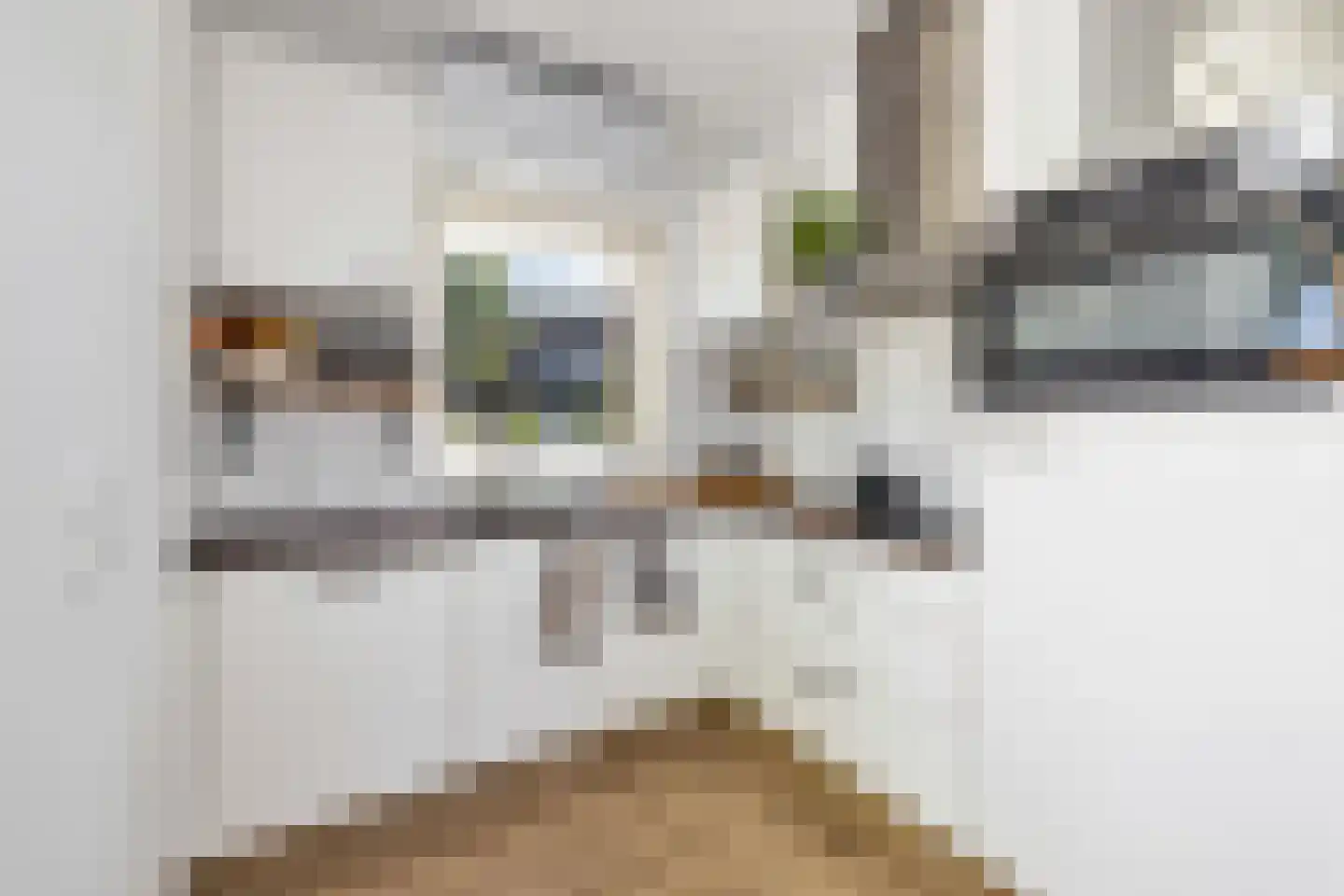 Johannes Kolfstraat 57 Westmaas thumbnail 11