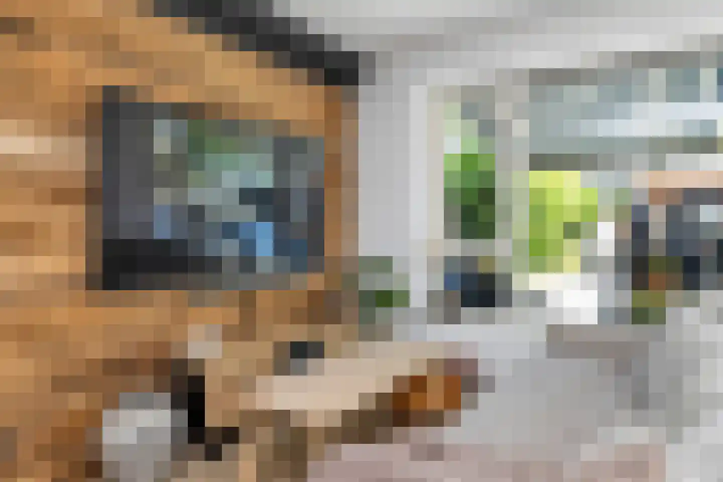 Johannes Kolfstraat 57 Westmaas thumbnail 7