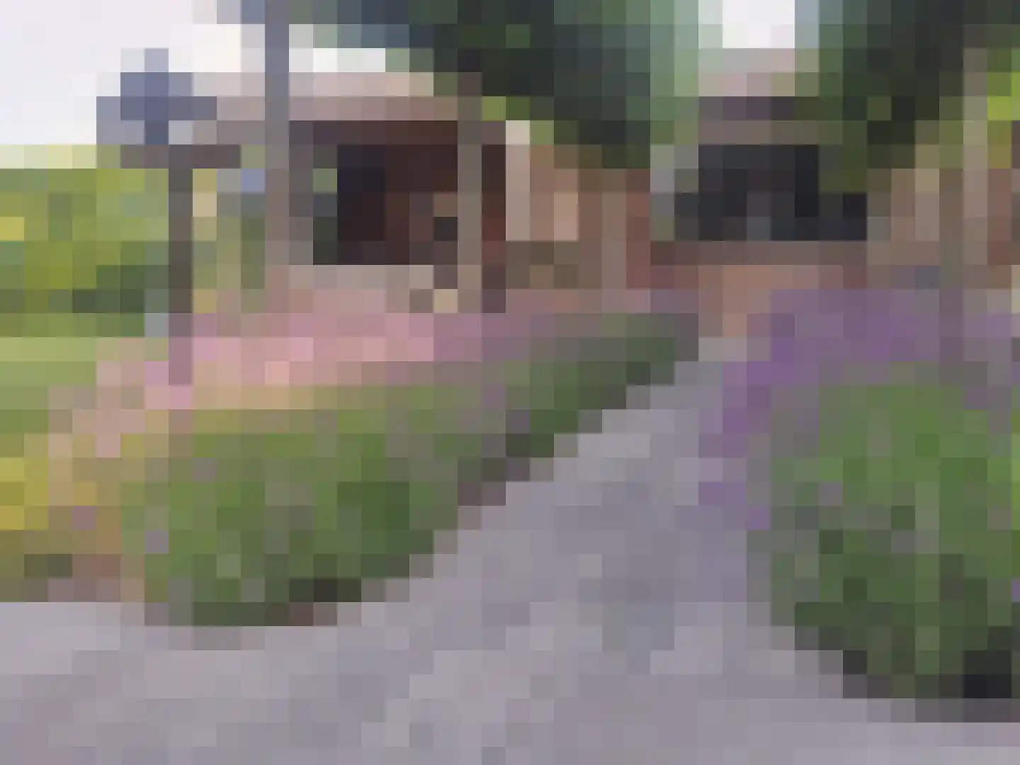 Johannes Kolfstraat 6 Westmaas thumbnail 39