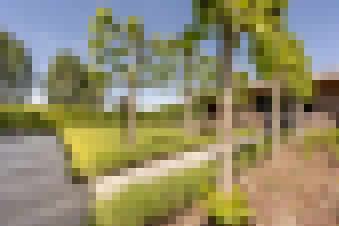 Johannes Kolfstraat 6 Westmaas thumbnail 39