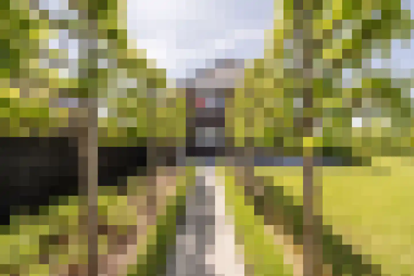 Johannes Kolfstraat 6 Westmaas thumbnail 41