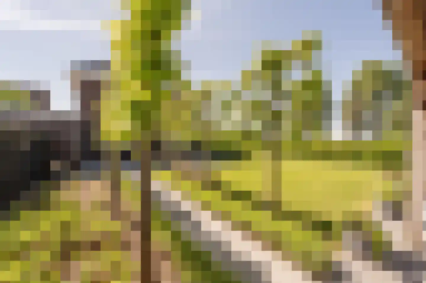 Johannes Kolfstraat 6 Westmaas thumbnail 43