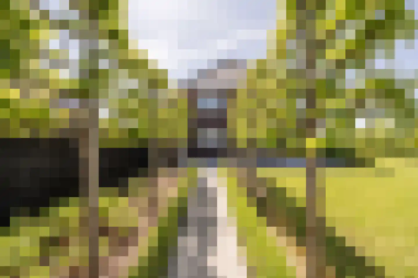 Johannes Kolfstraat 6 Westmaas thumbnail 44