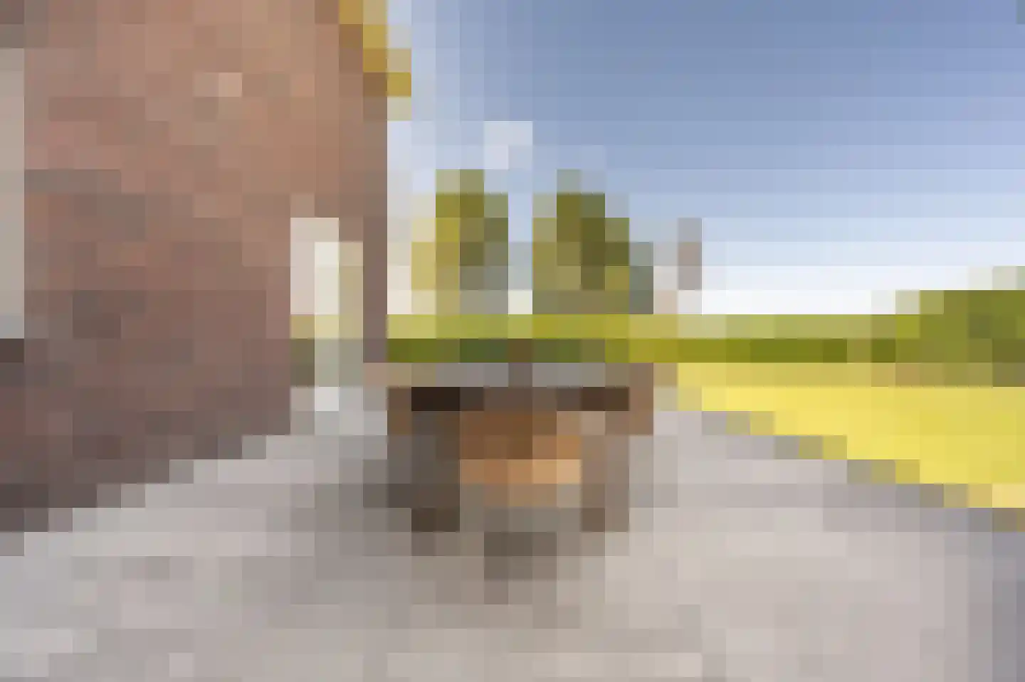 Johannes Kolfstraat 6 Westmaas thumbnail 48