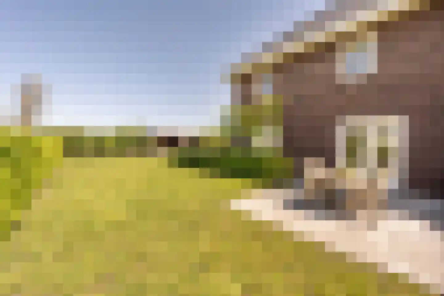 Johannes Kolfstraat 6 Westmaas thumbnail 49