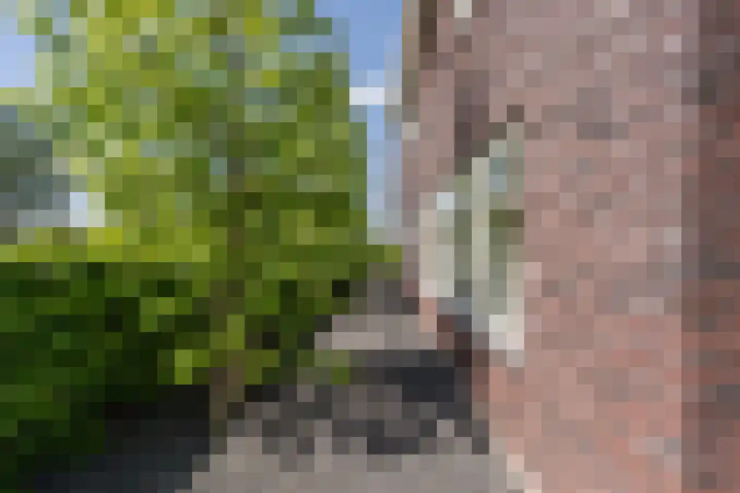 Johannes Kolfstraat 6 Westmaas thumbnail 50