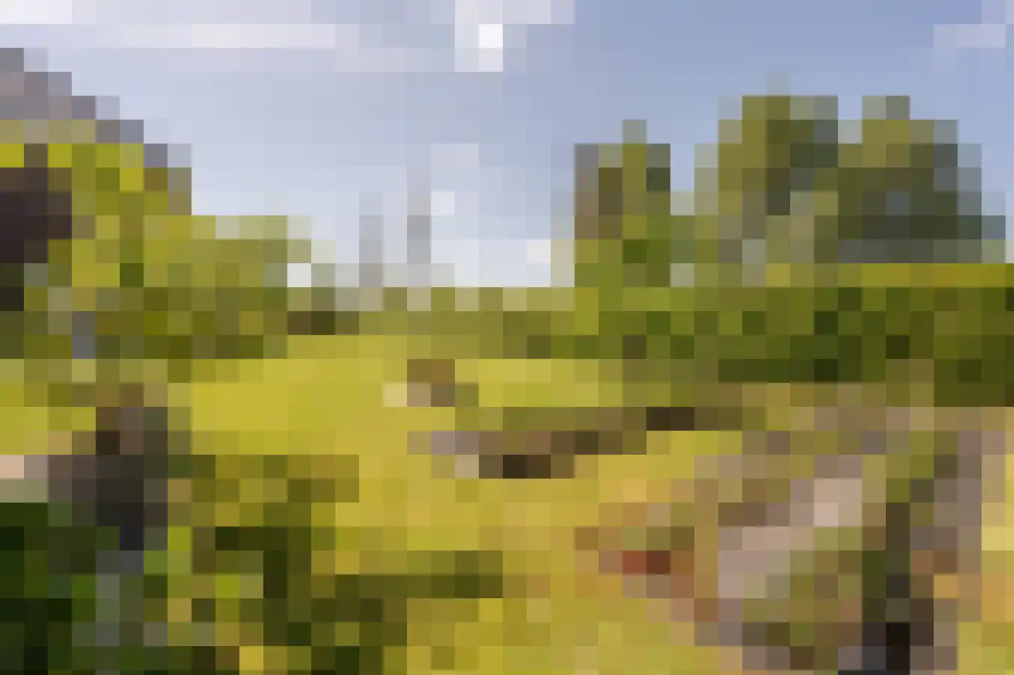 Johannes Kolfstraat 6 Westmaas thumbnail 53
