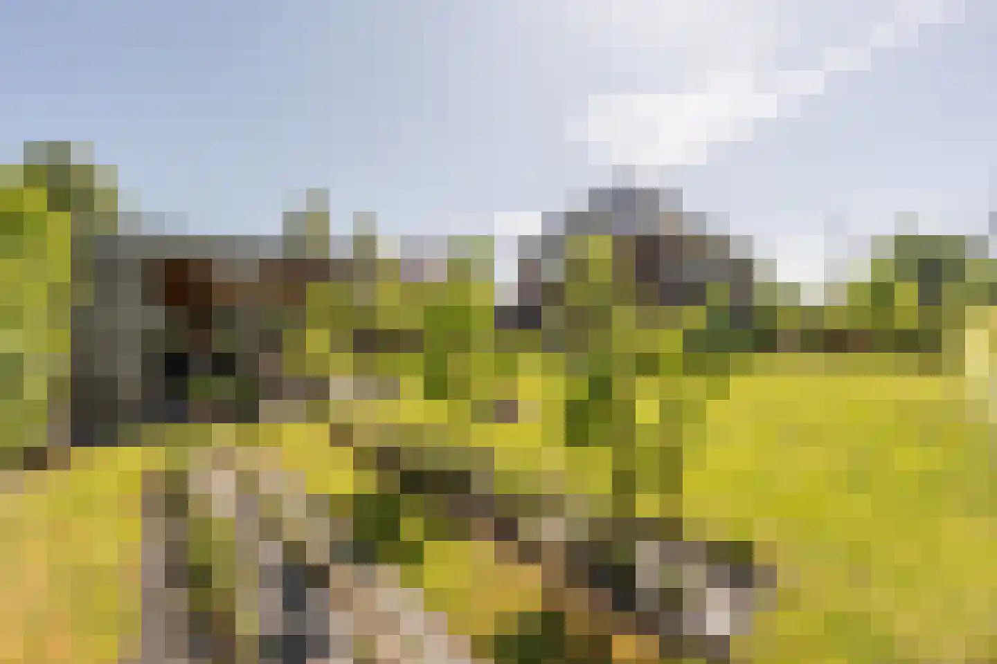 Johannes Kolfstraat 6 Westmaas thumbnail 54