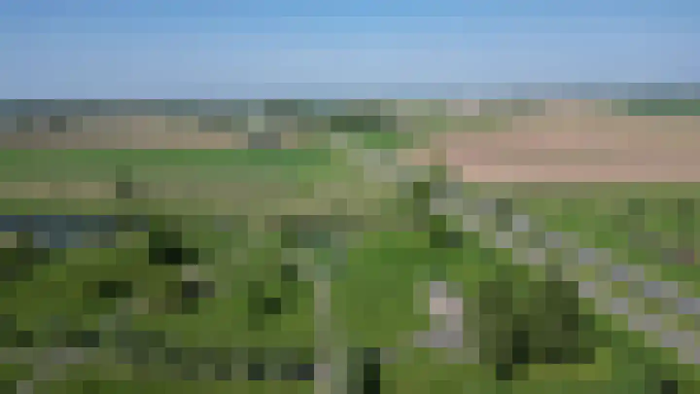 Johannes Kolfstraat 6 Westmaas thumbnail 55