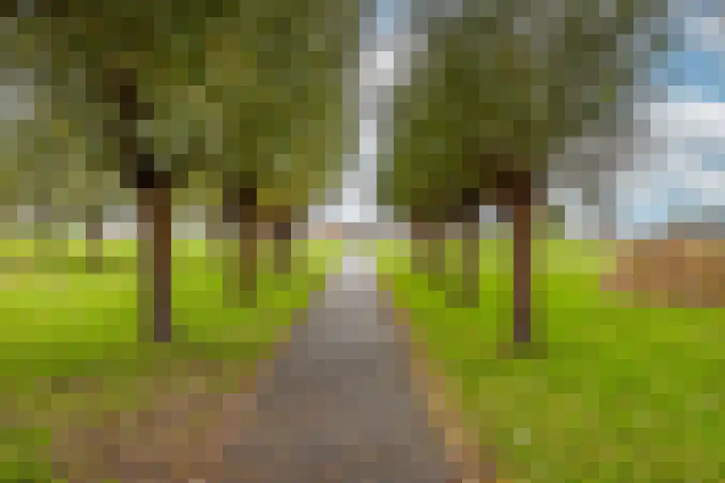 Johannes Kolfstraat 6 Westmaas thumbnail 57