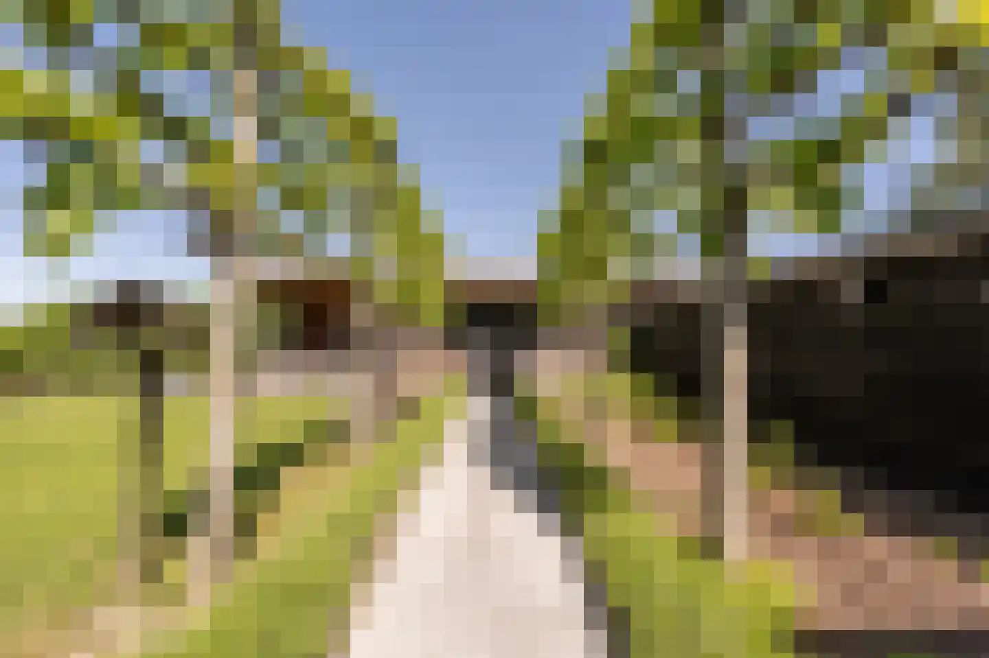 Johannes Kolfstraat 6 Westmaas thumbnail 63