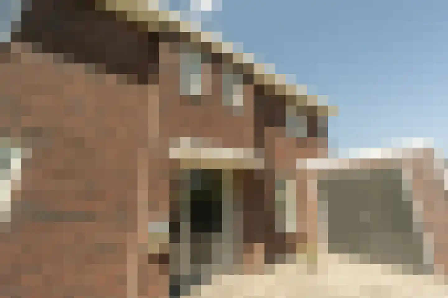 Johannes Kolfstraat 6 Westmaas thumbnail 65