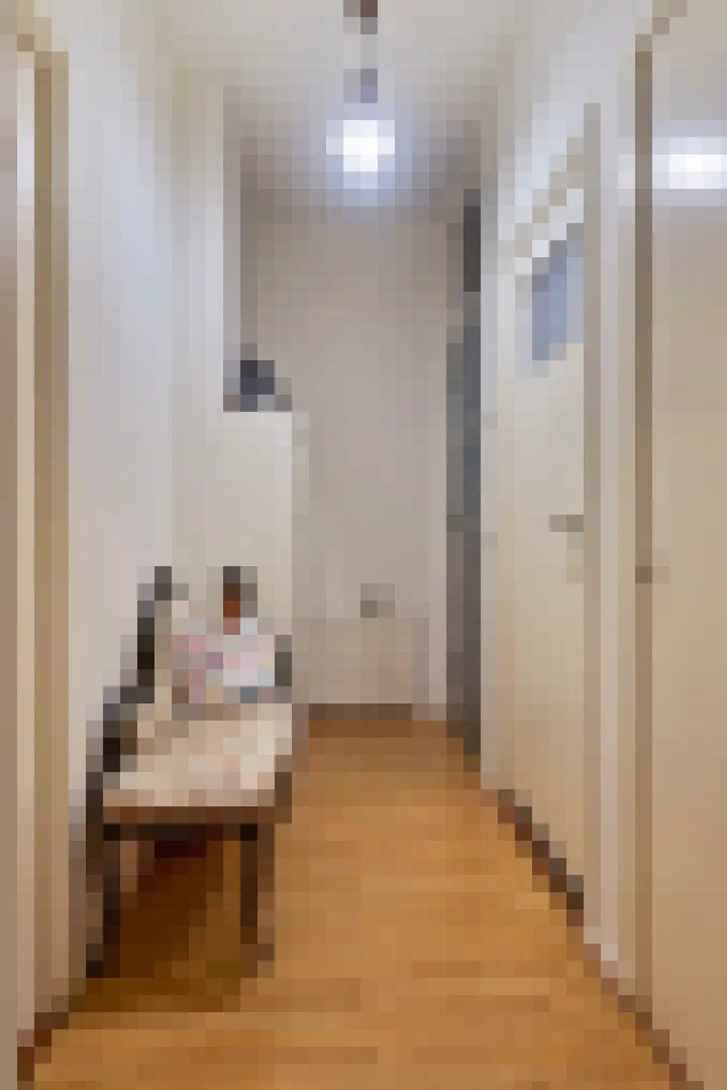 Johannes Meewisstraat 42 1 Amsterdam thumbnail 8