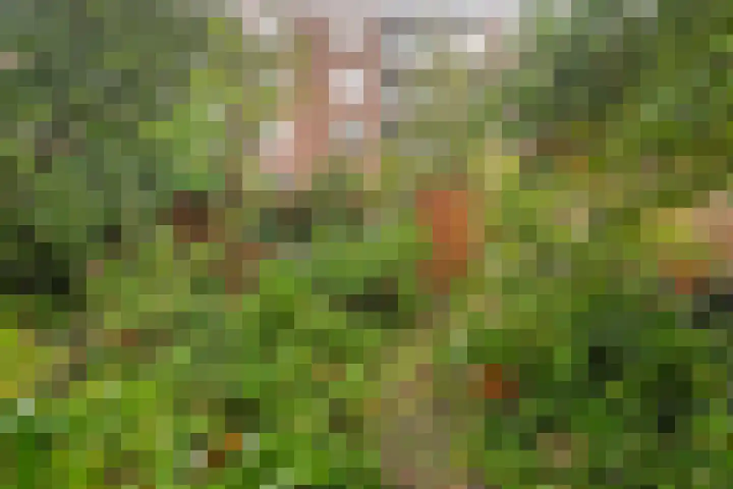 Johannes Meewisstraat 42 2 Amsterdam thumbnail 31