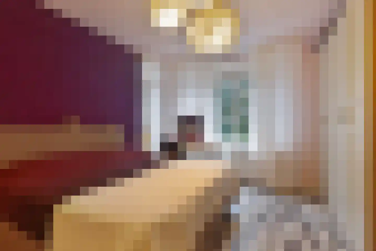 Johannes Meewisstraat 42 2 Amsterdam thumbnail 9