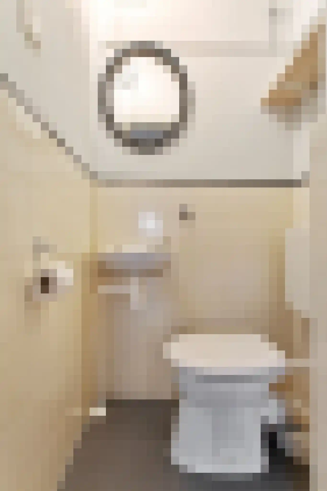 Johannes Meewisstraat 42 3 Amsterdam thumbnail 15