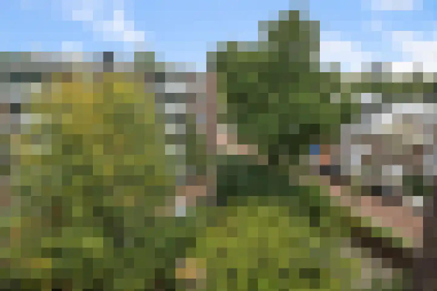 Johannes Meewisstraat 44 3 Amsterdam thumbnail 15