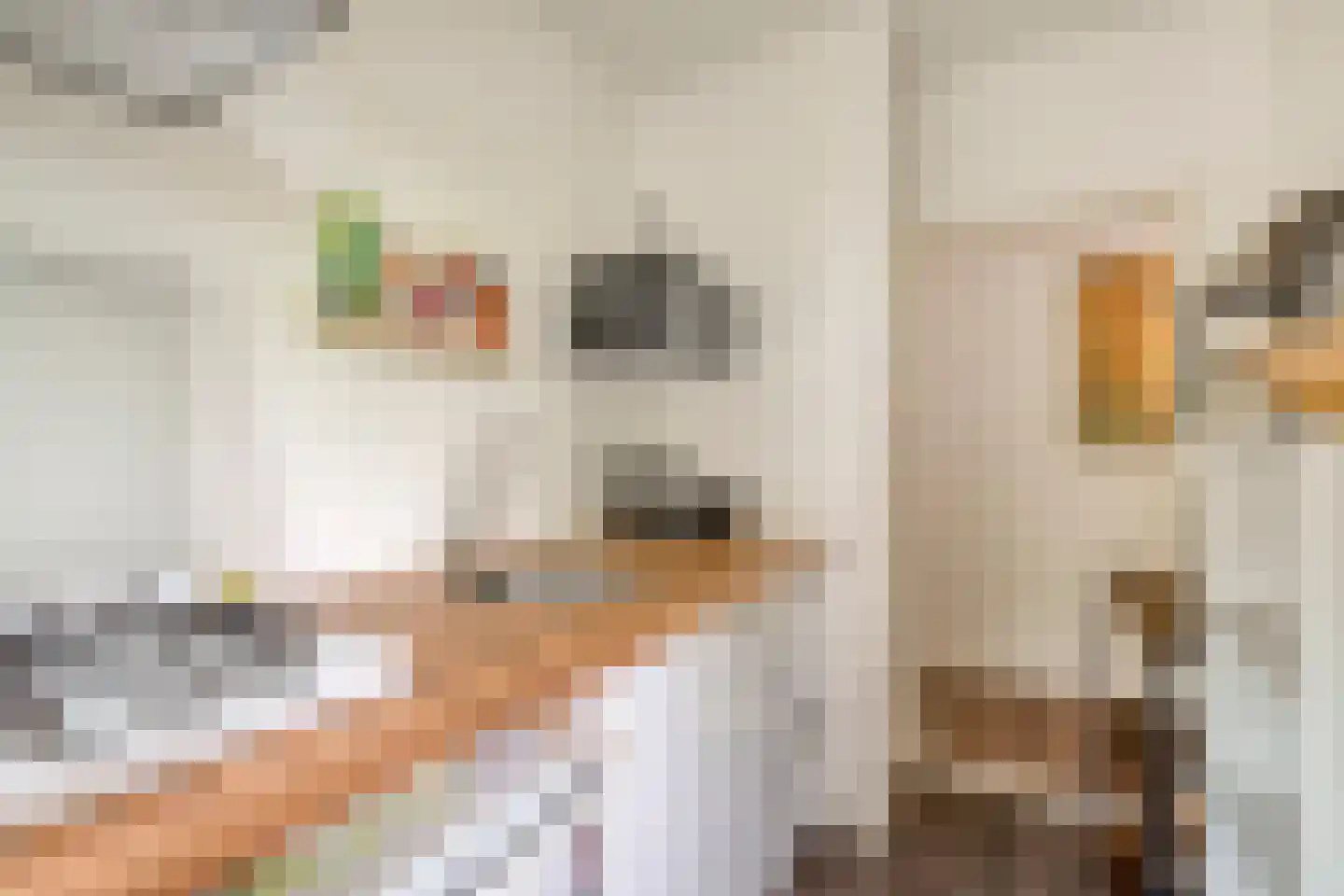Johannes Meewisstraat 55 1 Amsterdam thumbnail 12