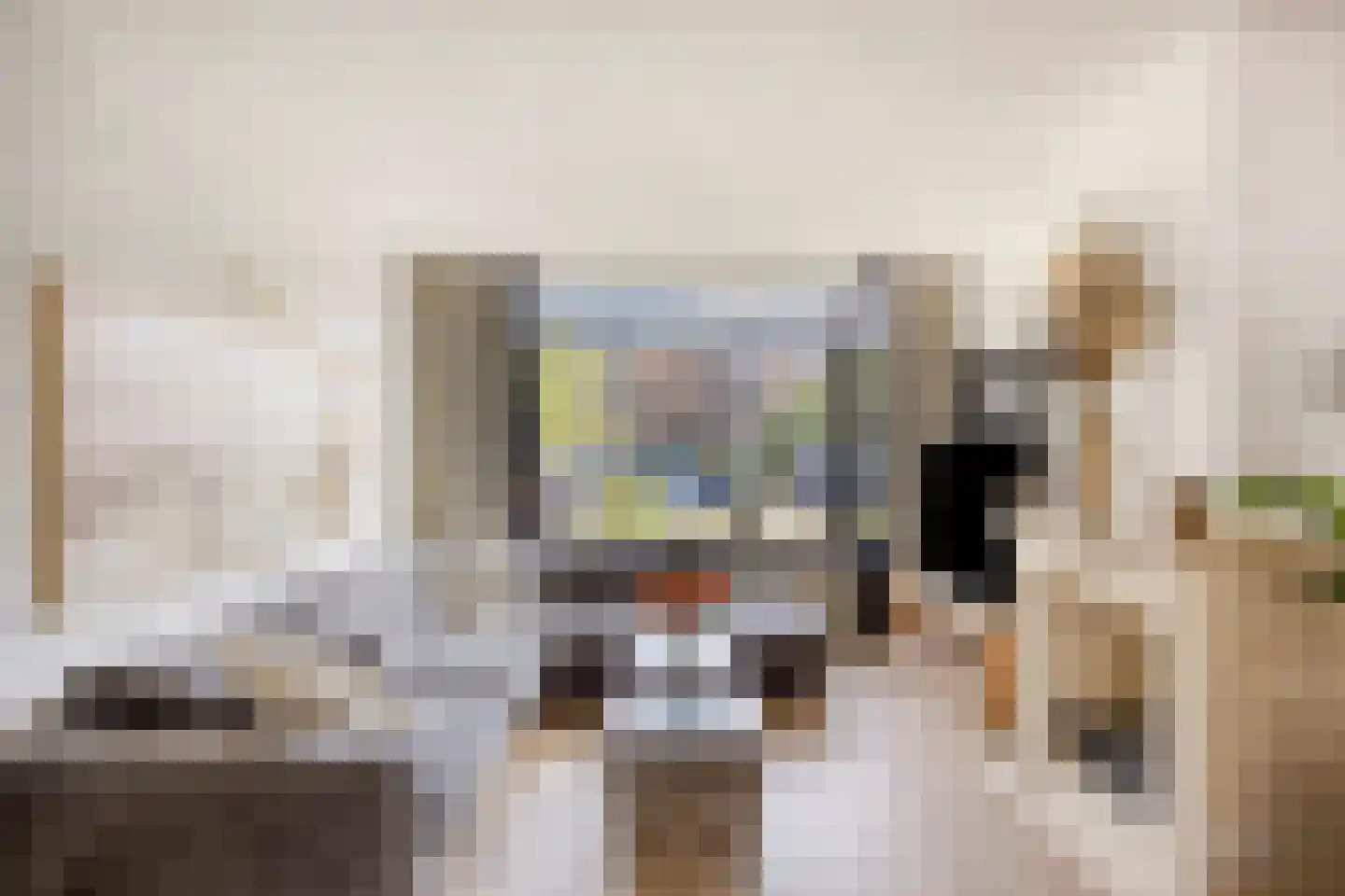 Johannes Meybeeklaan 15 Voorburg thumbnail 19