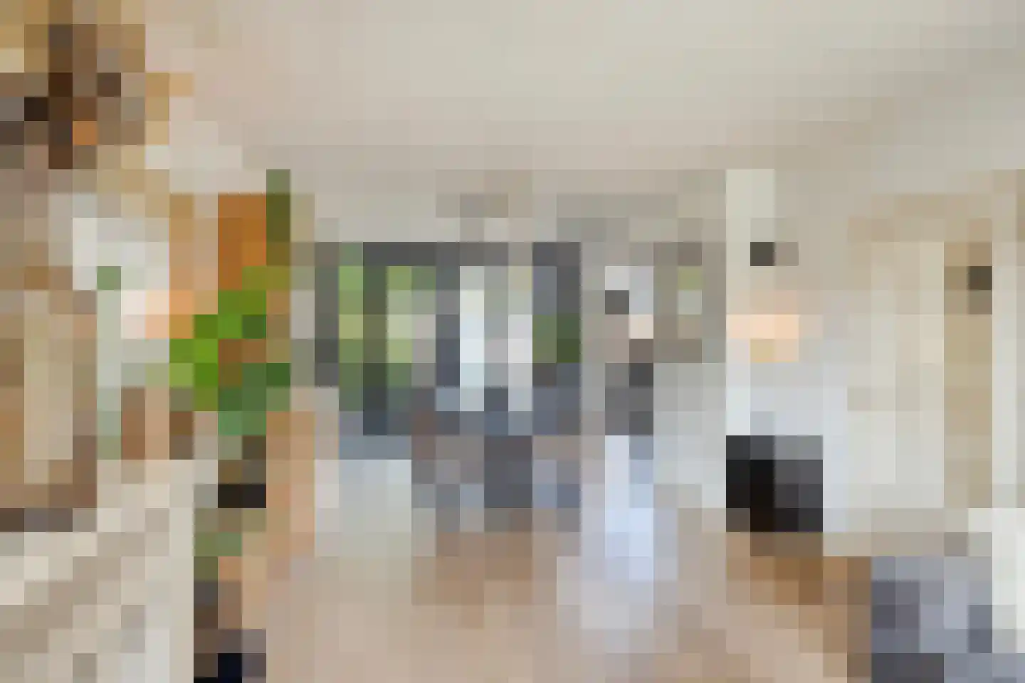 Johannes Meybeeklaan 15 Voorburg thumbnail 23