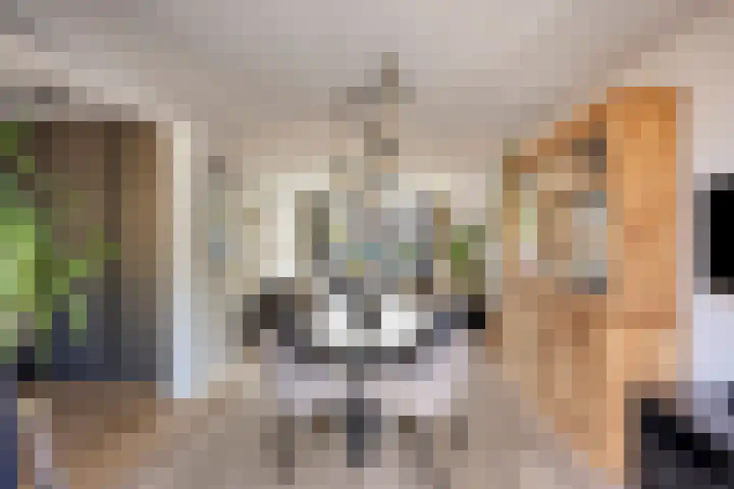 Johannes Meybeeklaan 15 Voorburg thumbnail 24