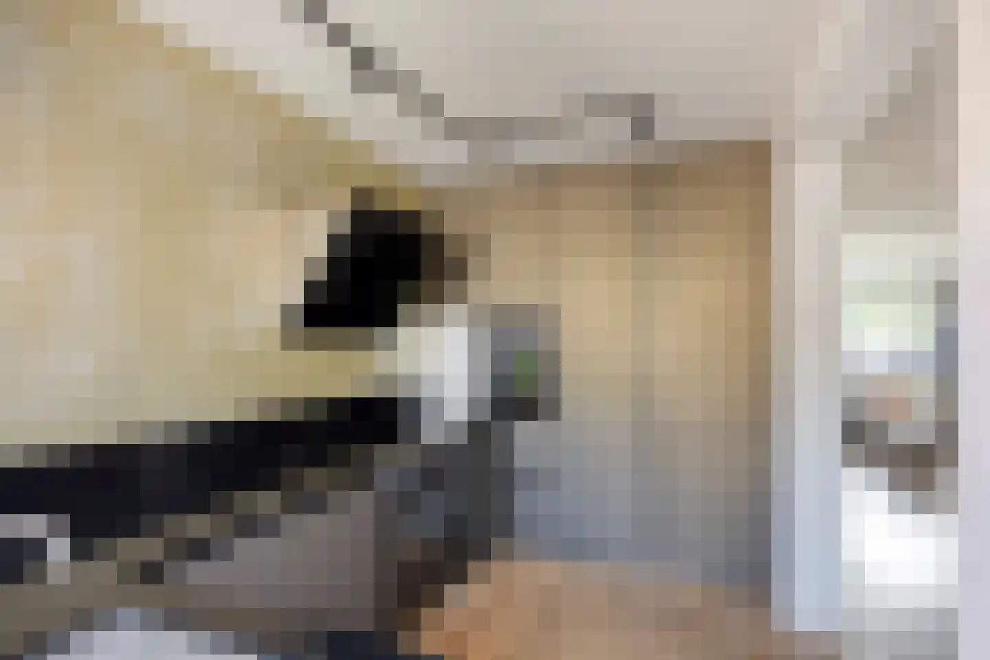 Johannes Meybeeklaan 15 Voorburg thumbnail 26