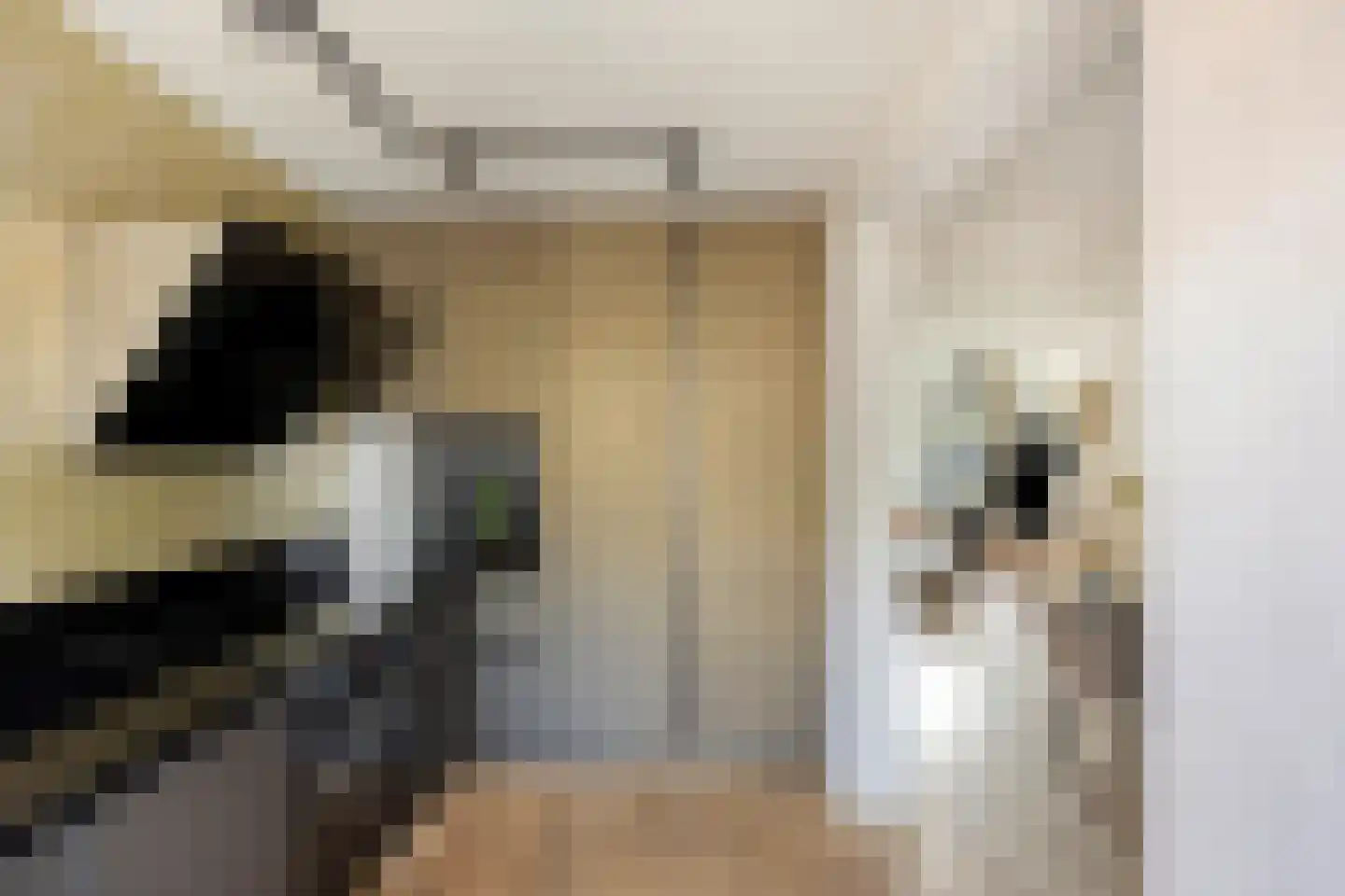Johannes Meybeeklaan 15 Voorburg thumbnail 27