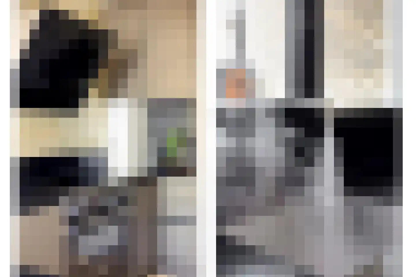 Johannes Meybeeklaan 15 Voorburg thumbnail 29