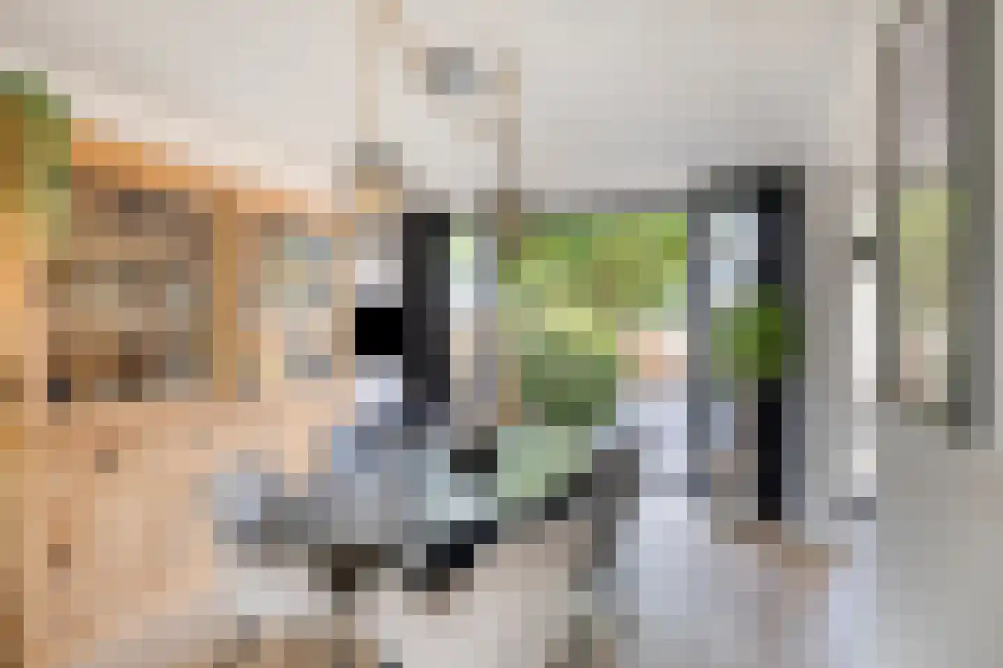 Johannes Meybeeklaan 15 Voorburg thumbnail 4