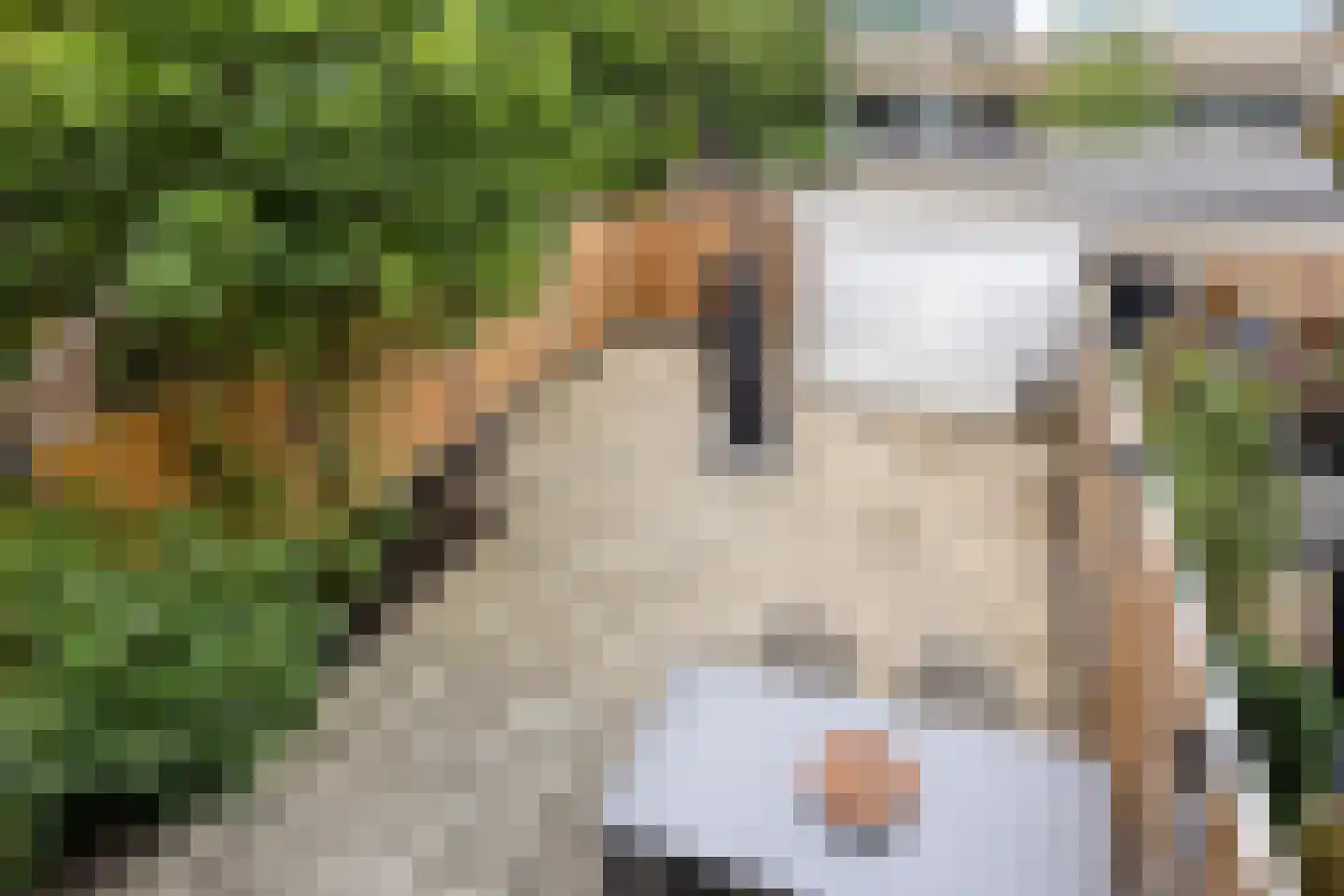 Johannes Meybeeklaan 15 Voorburg thumbnail 9