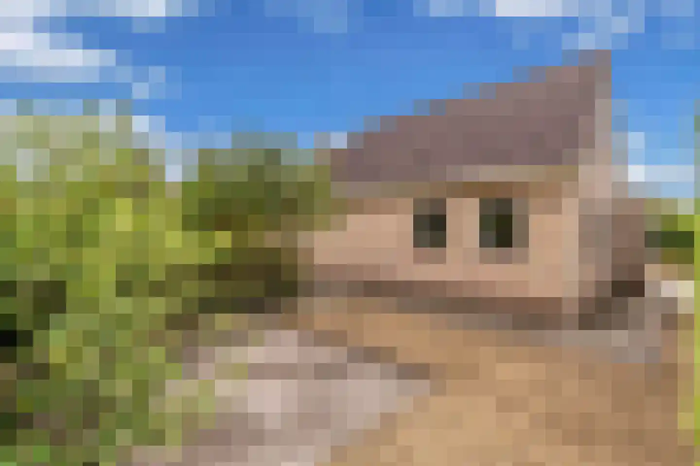 Johannes Mooijstraat 16 Noordwolde thumbnail 52