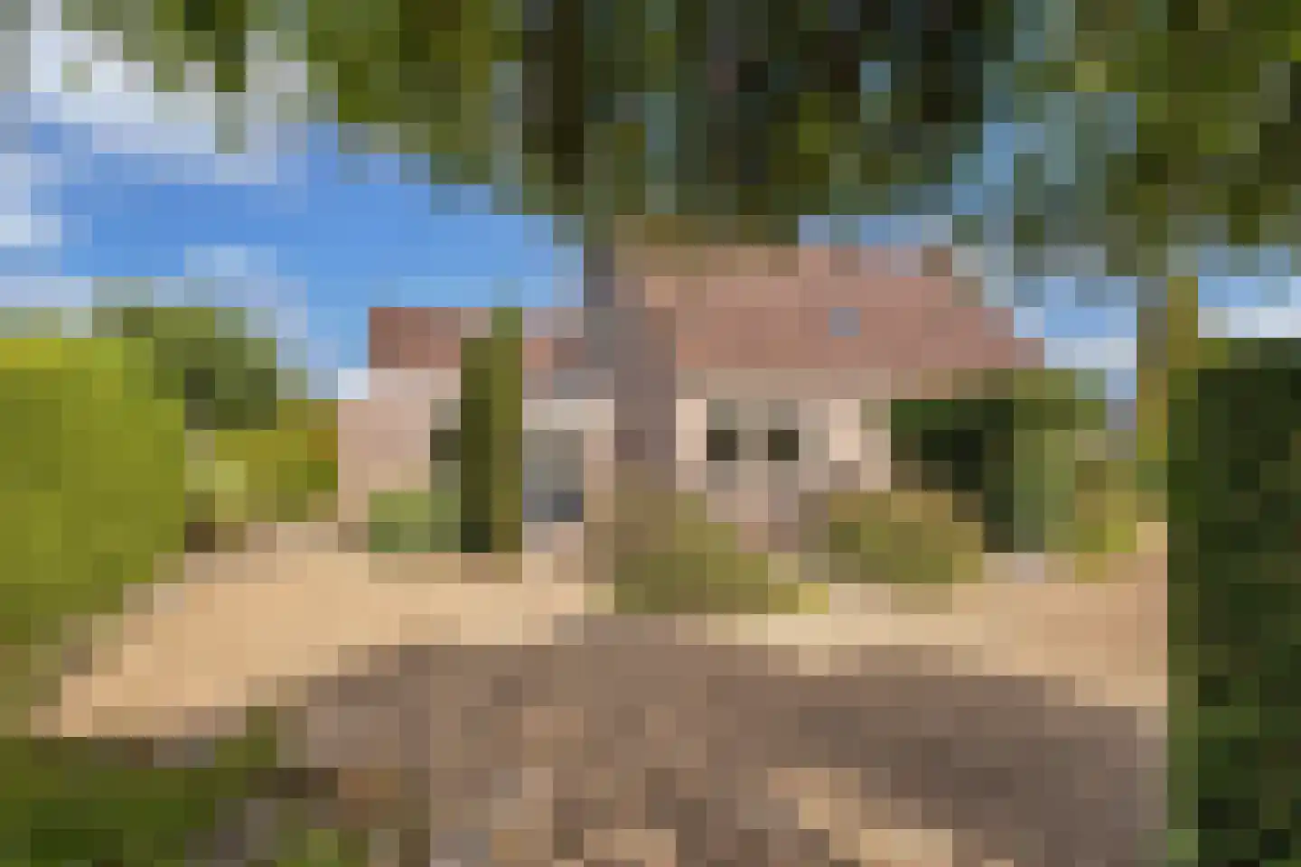 Johannes Mooijstraat 16 Noordwolde thumbnail 53