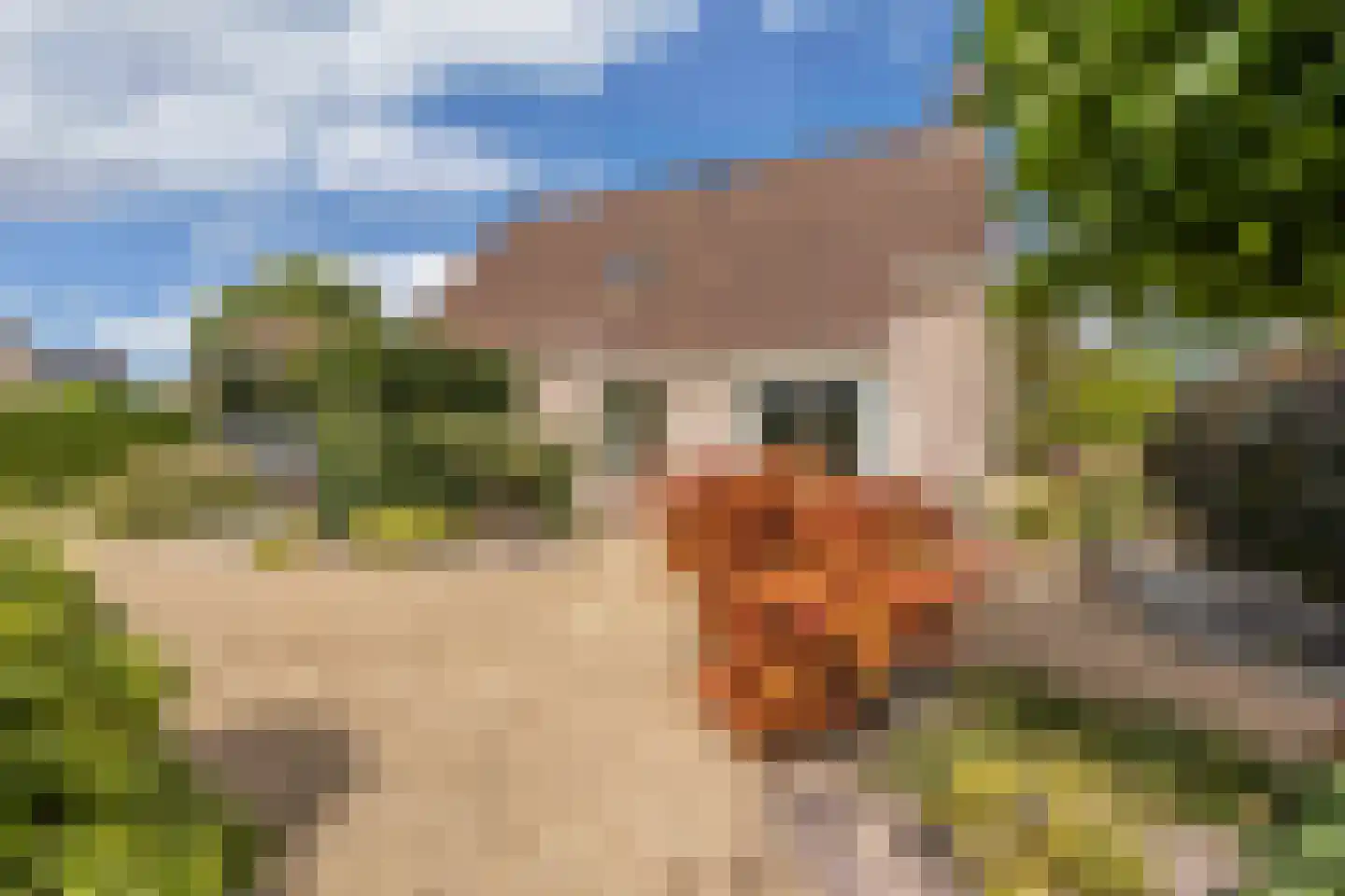 Johannes Mooijstraat 16 Noordwolde thumbnail 57
