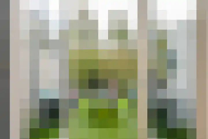 Johannes Muldersstraat 45 Vlaardingen thumbnail 14
