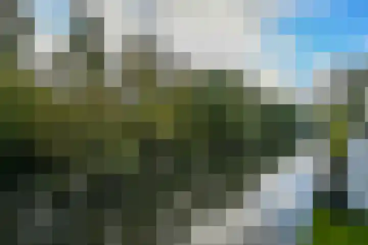 Johannes Muldersstraat 45 Vlaardingen thumbnail 17