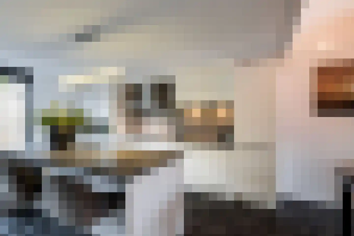 Johannes Muldersstraat 49 Vlaardingen thumbnail 10