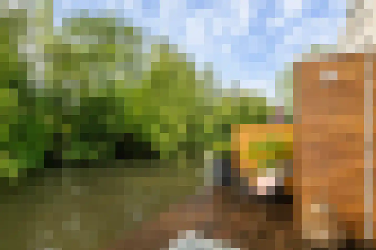 Johannes Muldersstraat 49 Vlaardingen thumbnail 18