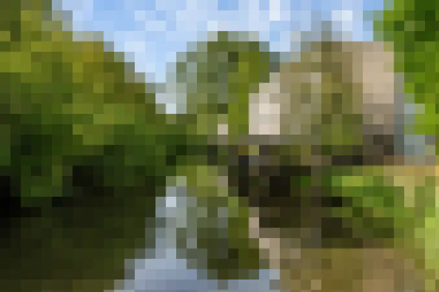 Johannes Muldersstraat 49 Vlaardingen thumbnail 19