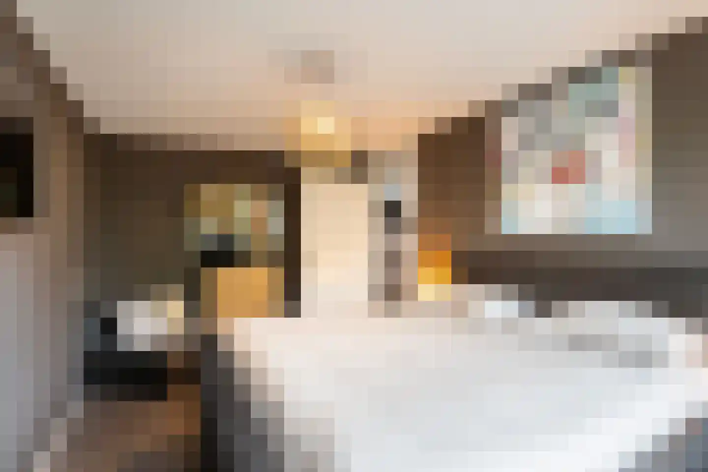 Johannes Muldersstraat 49 Vlaardingen thumbnail 28