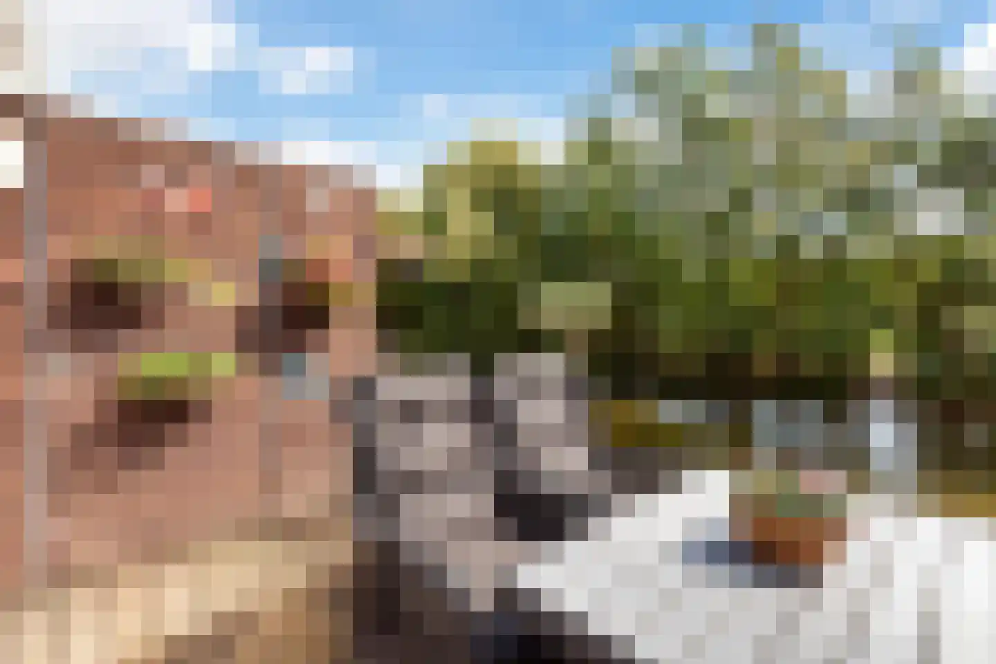 Johannes Muldersstraat 59 Vlaardingen thumbnail 19