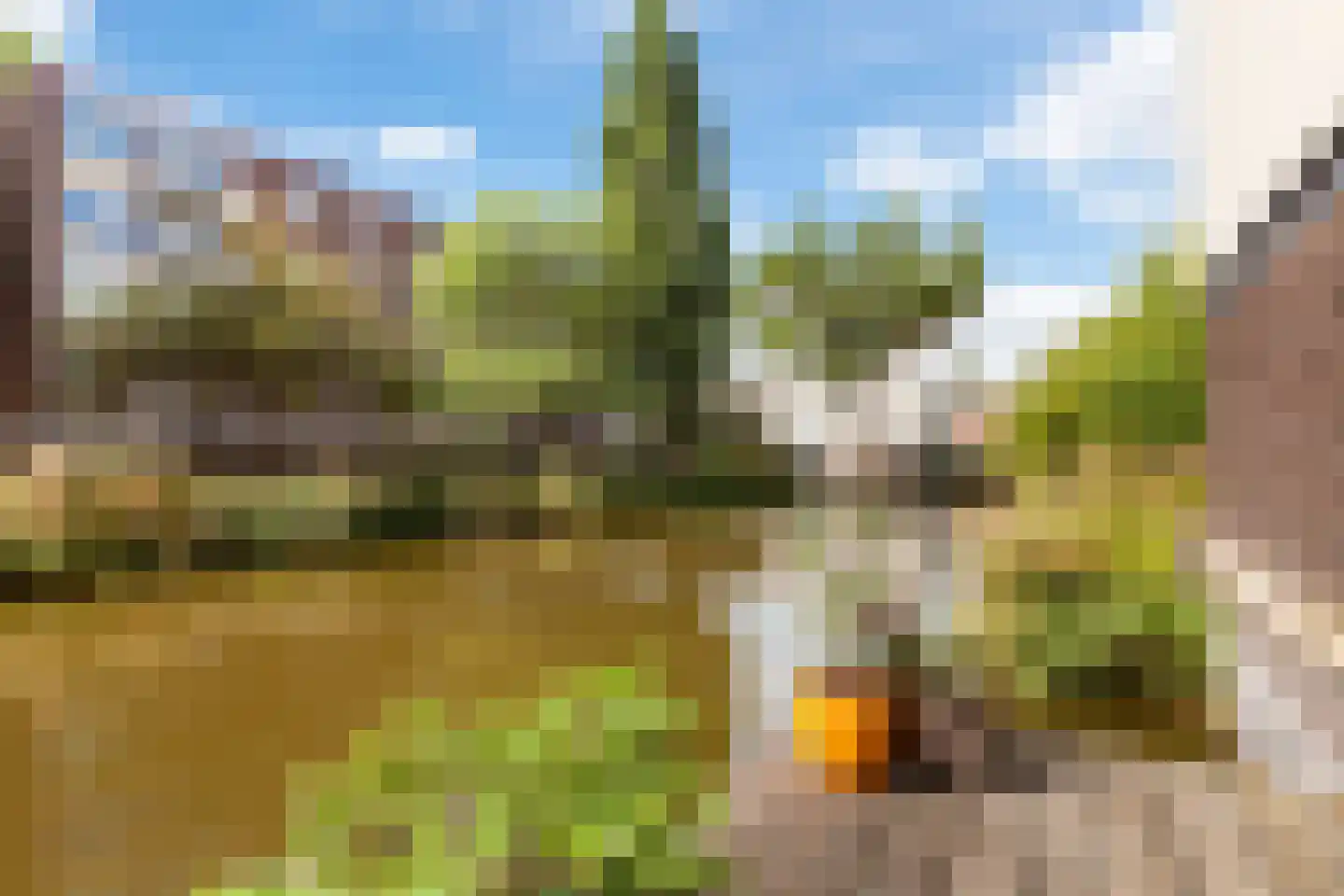 Johannes Muldersstraat 59 Vlaardingen thumbnail 21