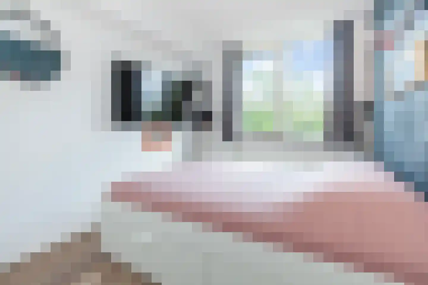 Johannes Muldersstraat 59 Vlaardingen thumbnail 39
