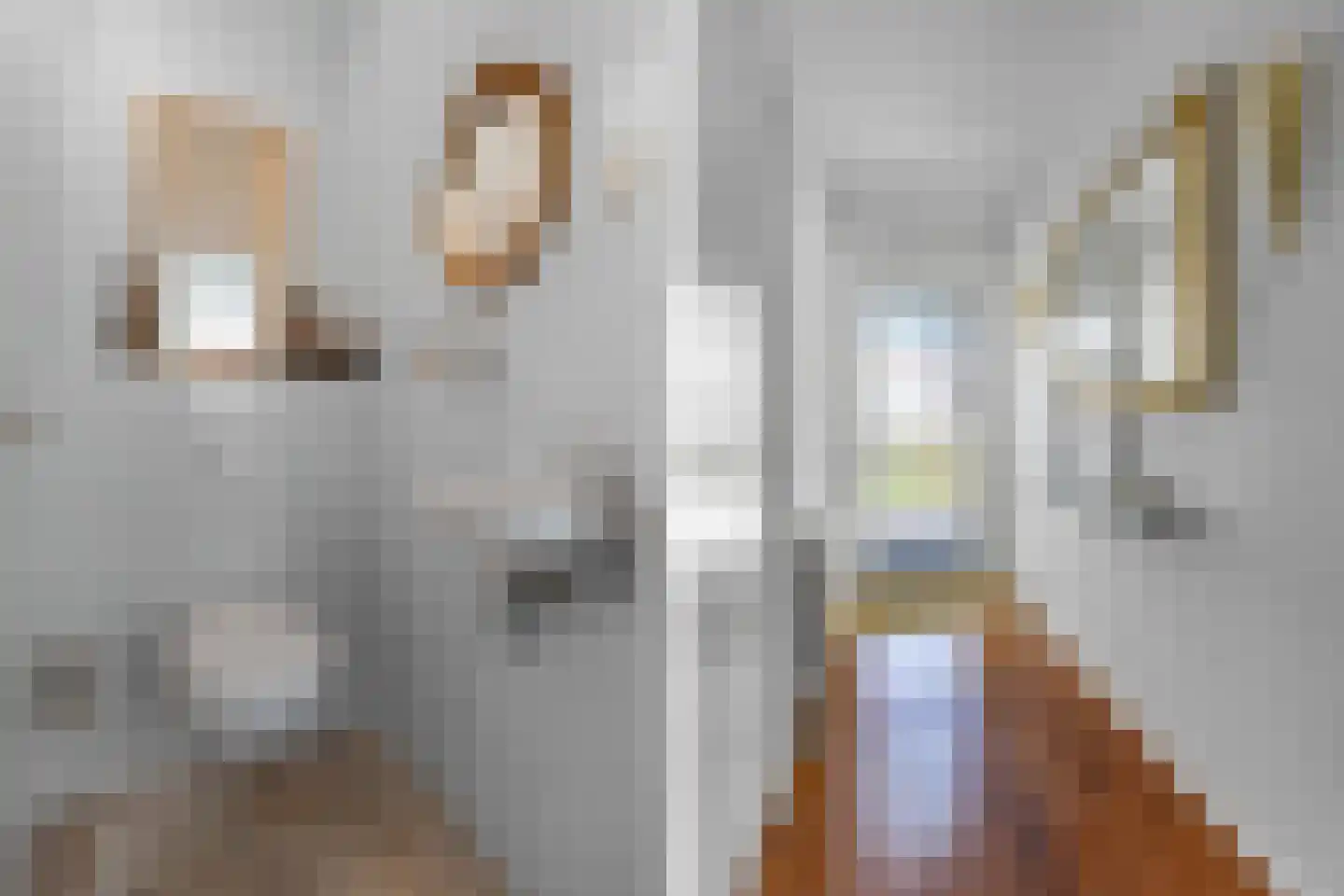 Johannes Nagelhoutlaan 6 Bakhuizen thumbnail 11