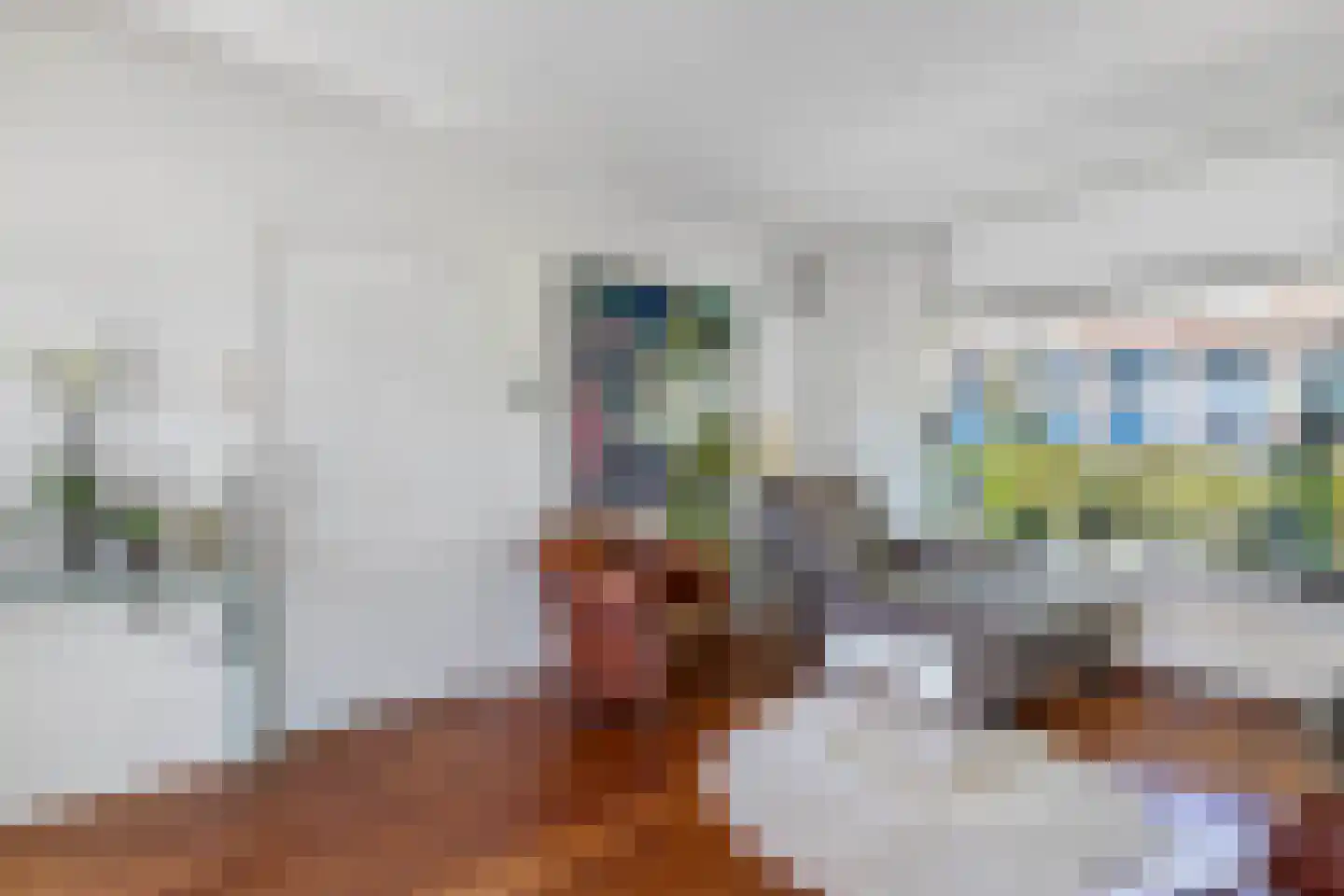 Johannes Nagelhoutlaan 6 Bakhuizen thumbnail 14