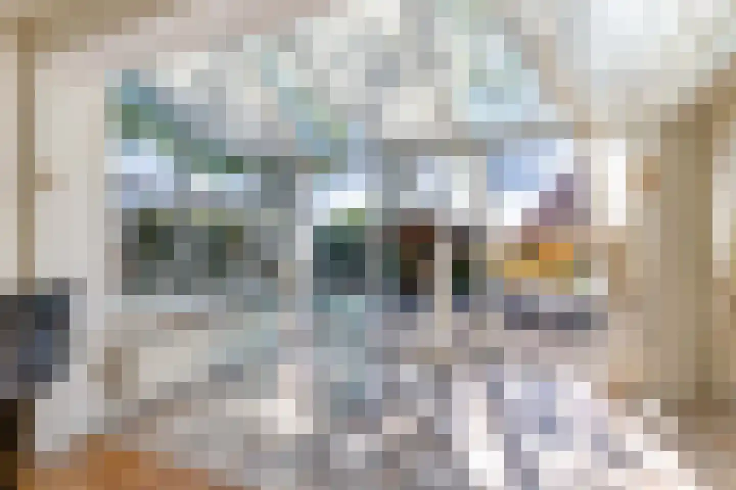 Johannes Nagelhoutlaan 6 Bakhuizen thumbnail 18