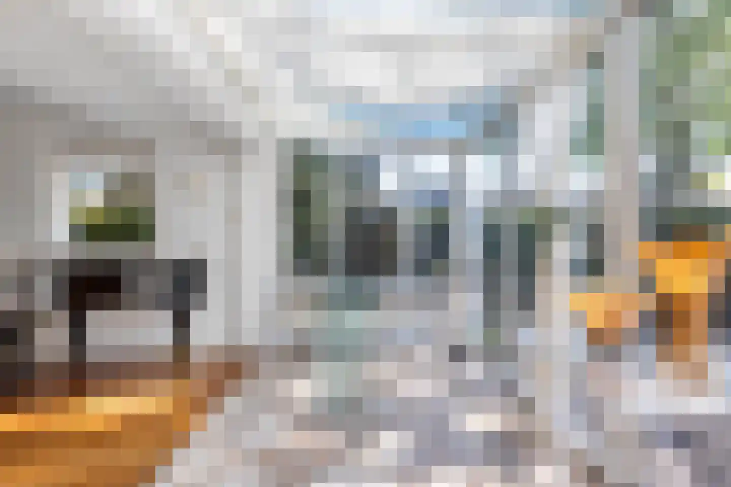 Johannes Nagelhoutlaan 6 Bakhuizen thumbnail 19